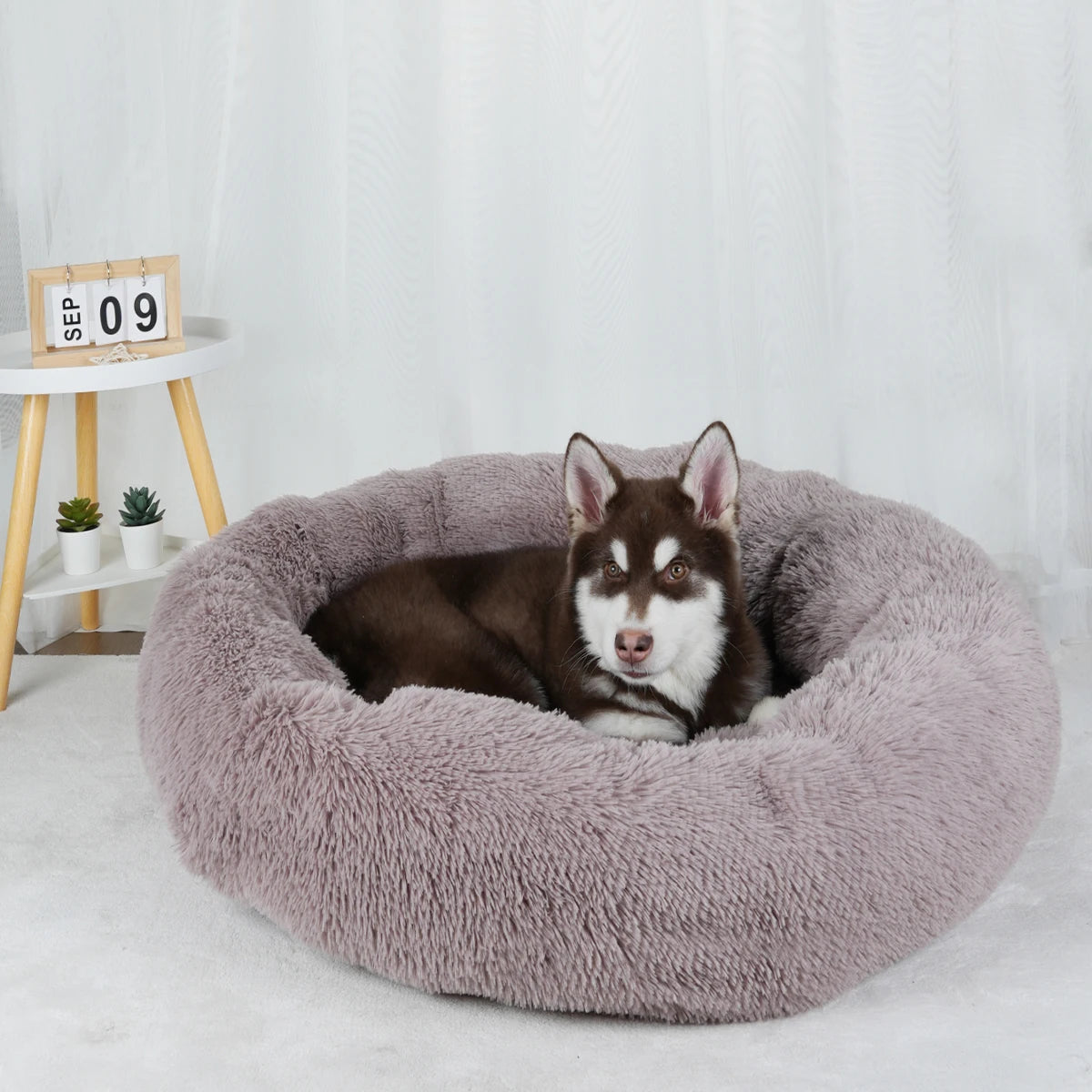 Pawinos™ Calming Donut Dog Bed – Plush Washable Bed for Small, Medium & Large Dogs