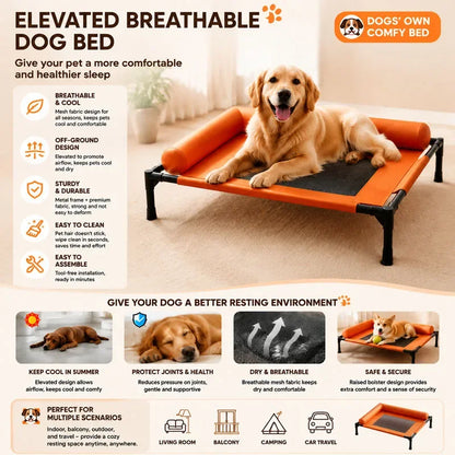 Pawinos™ Elevated Cooling Dog Bed with Pillow – Raised Washable Mesh Bed for Medium & Large Dogs