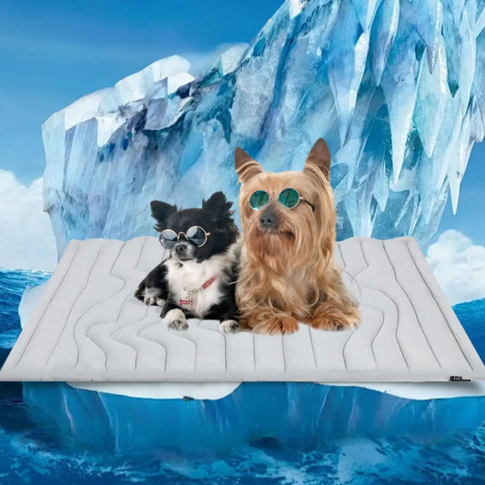 Pawinos™ Cooling Pet Mat for Dogs & Cats | Self-Cooling Summer Sleeping Pad