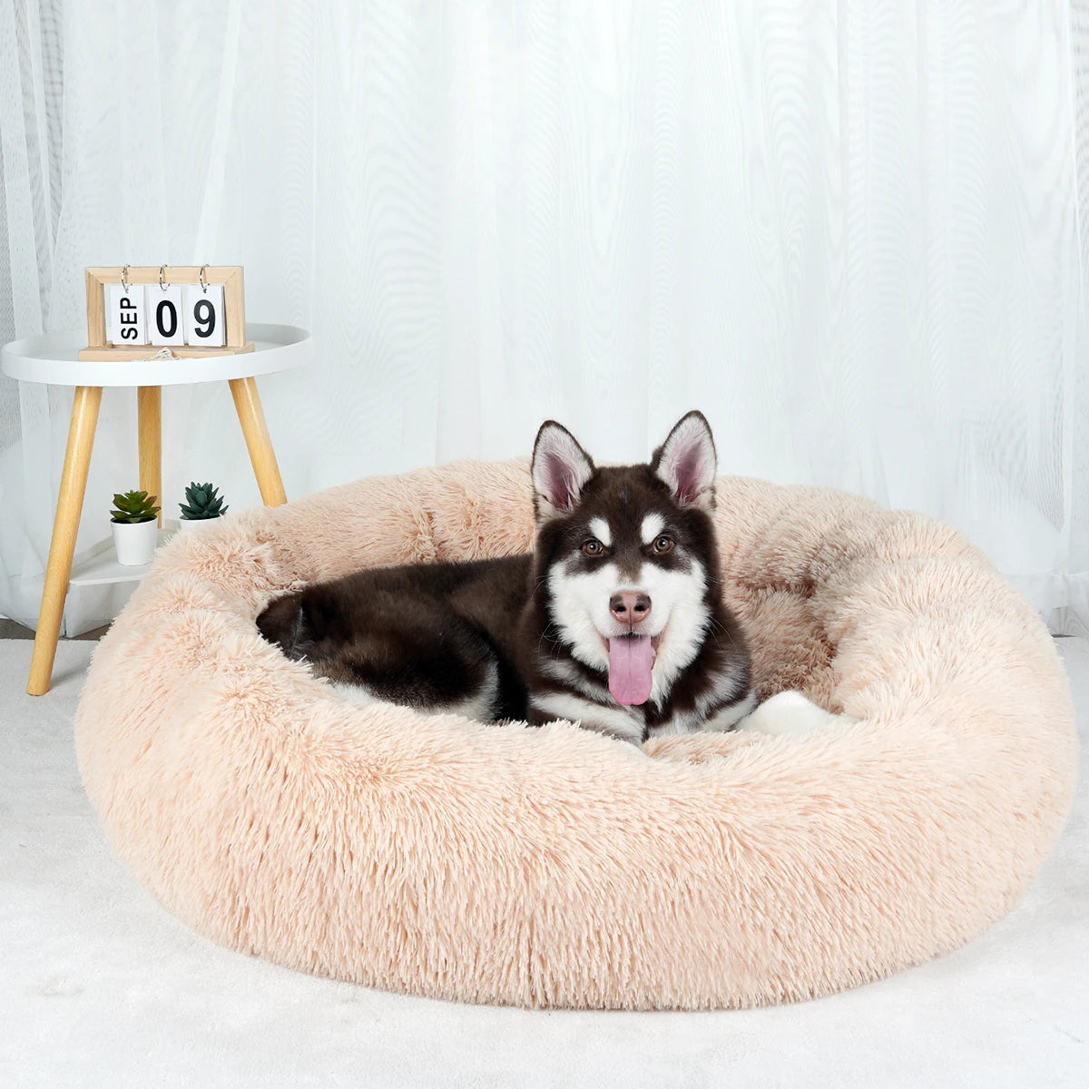 Pawinos™ Calming Donut Dog Bed – Plush Washable Bed for Small, Medium & Large Dogs